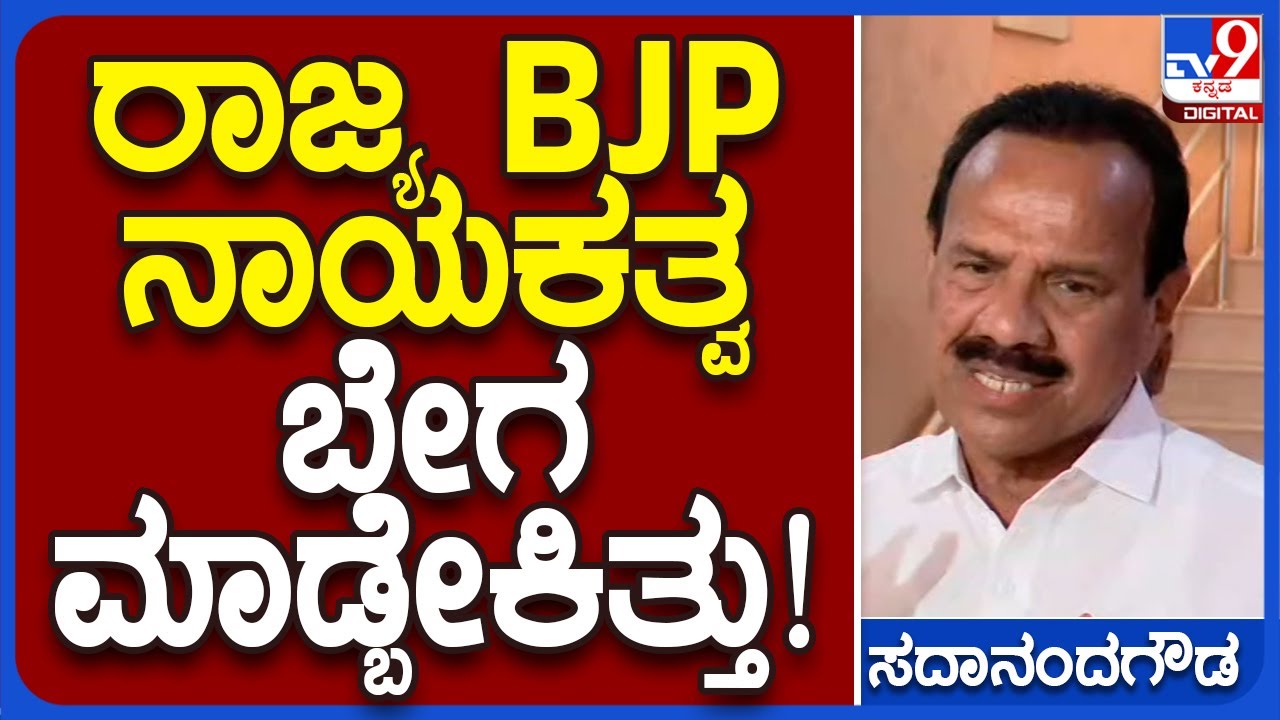 D.V Sadananda Gowda: ರಾಜ್ಯ BJP ನಾಯಕತ್ವ ಲೇಟಾಗಿದ್ದು, ನನಗೆ ನೋವಿದೆ | TV9