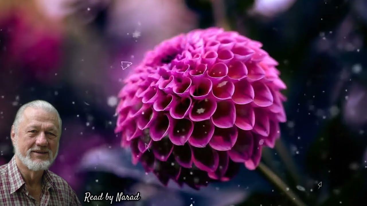 Fine Poetry - Poems of Robert Bridges - Spring. Ode II. Reply (read by Narad)
