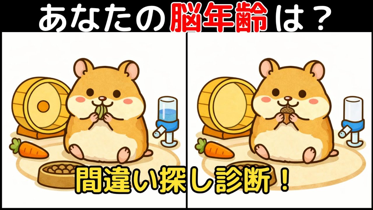 【間違い探し×脳トレ】60代以上も楽しめる認知症予防ゲーム！簡単～難しい全10問！