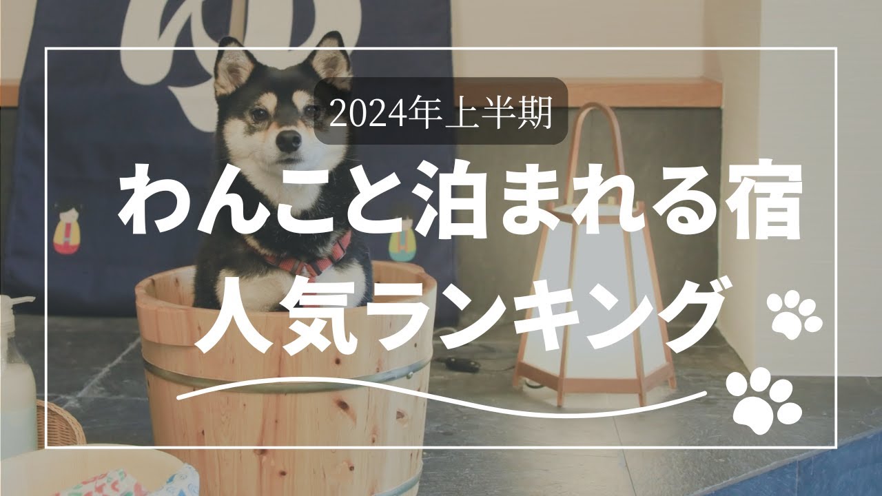 わんこと泊まれる宿人気ランキング～2024年上半期予約数～#宿泊  #楽天トラベル  #犬