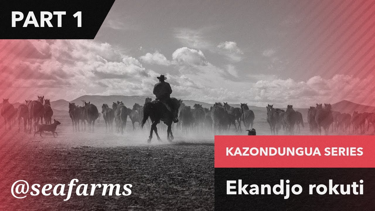 Kazondungua SERIES pt1