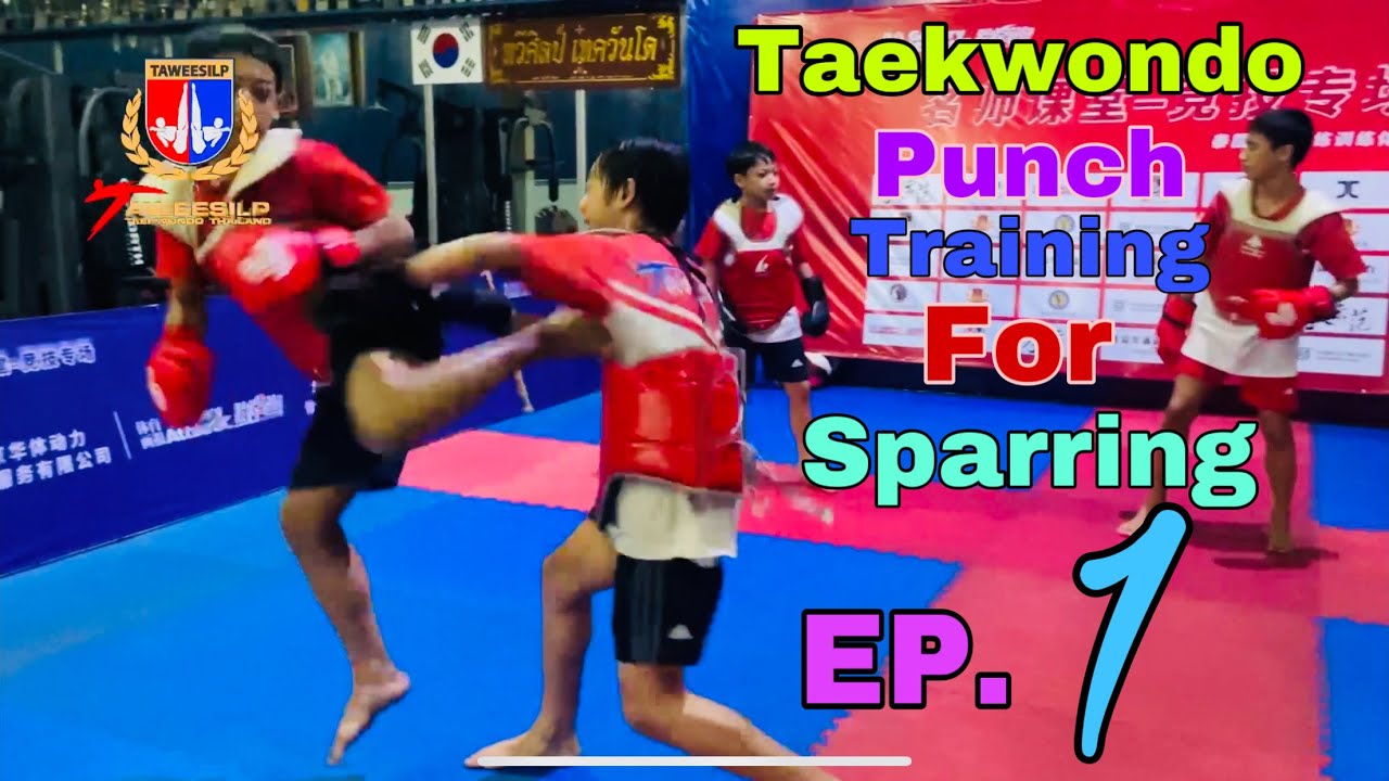Taekwondo Punch training For Sparring🥋EP.1