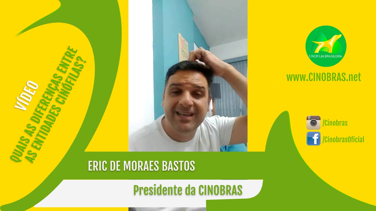 DIFEREN&Ccedil;AS ENTRE AS ENTIDADES CIN&Oacute;FILAS