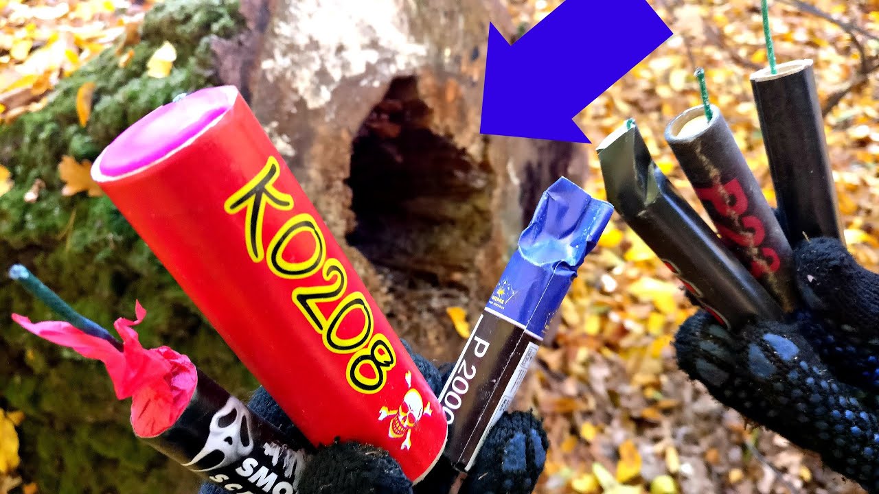 ✅🔥 БОЛЬШИЕ БОМБОЧКИ vs ОГРОМНОЕ ДУПЛО В ЛЕСУ 💣 ВЗОРВАЛ МНОГО КРУТОЙ ПИРОТЕХНИКИ 💣 БАХАЮ БОМБОЧКИ