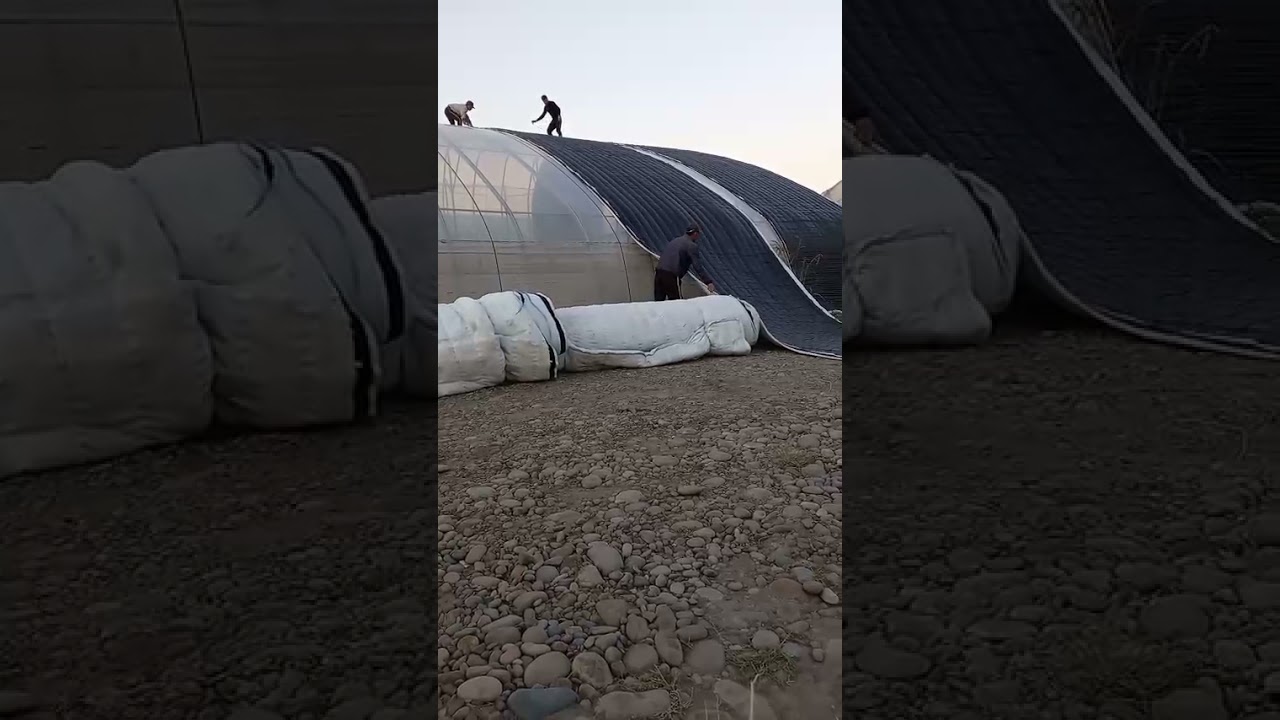 parkoʻrpani faqat odamla uchunmas issiqxonala uchunam ishlab chqarishadi