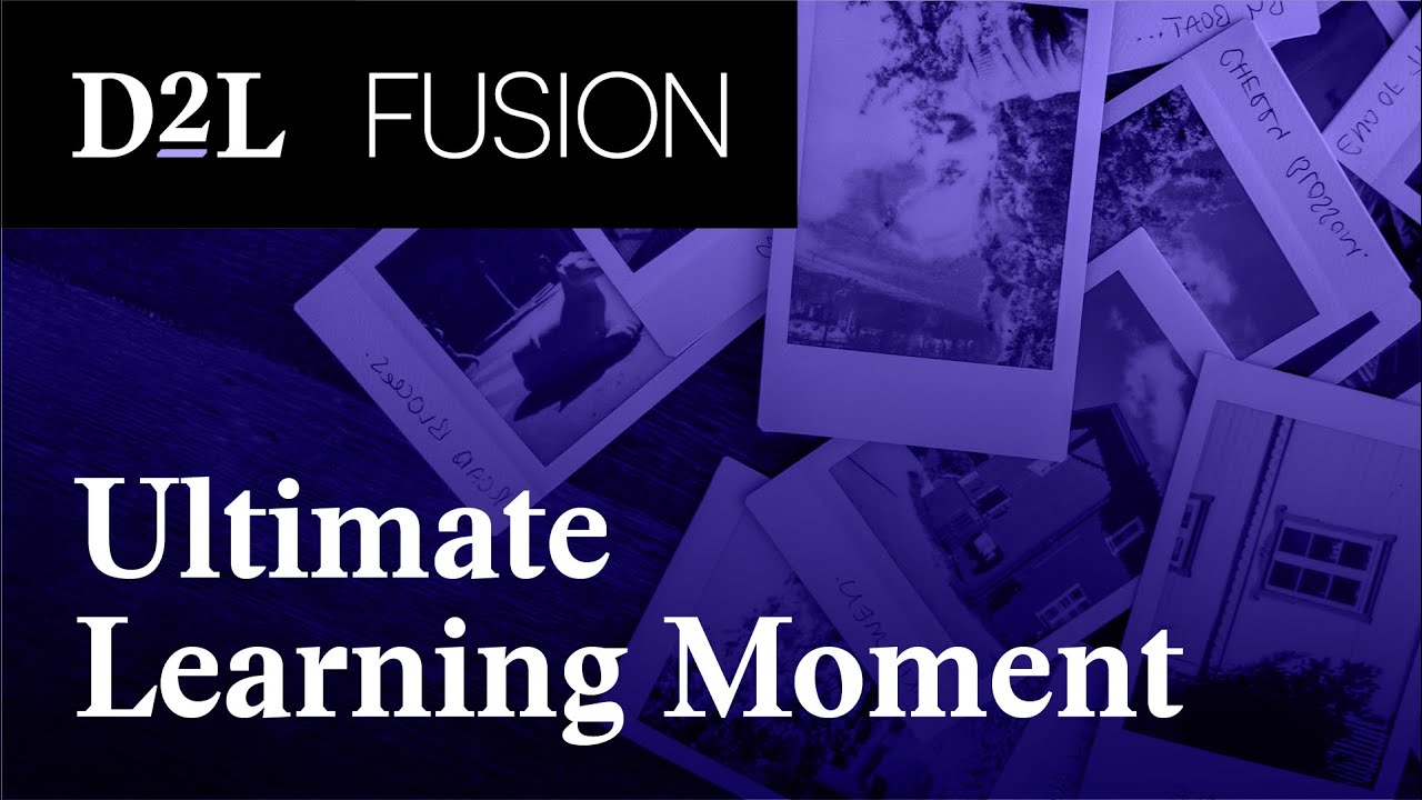 D2L Adventure: The Ultimate Learning Moment