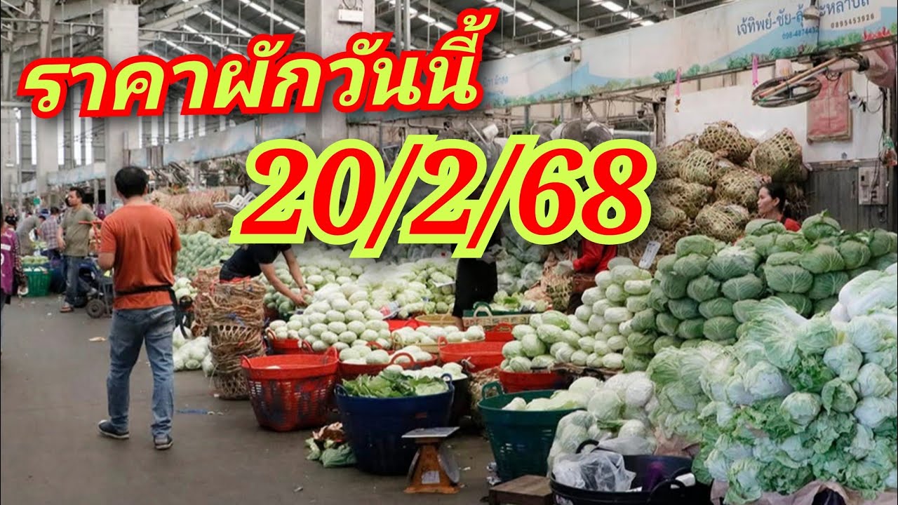 สรุปราคาผักวันนี้ 20/2/68 ข้อมูลอ้างอิงจากเว็บไซต์ตลาดสี่มุมเมือง