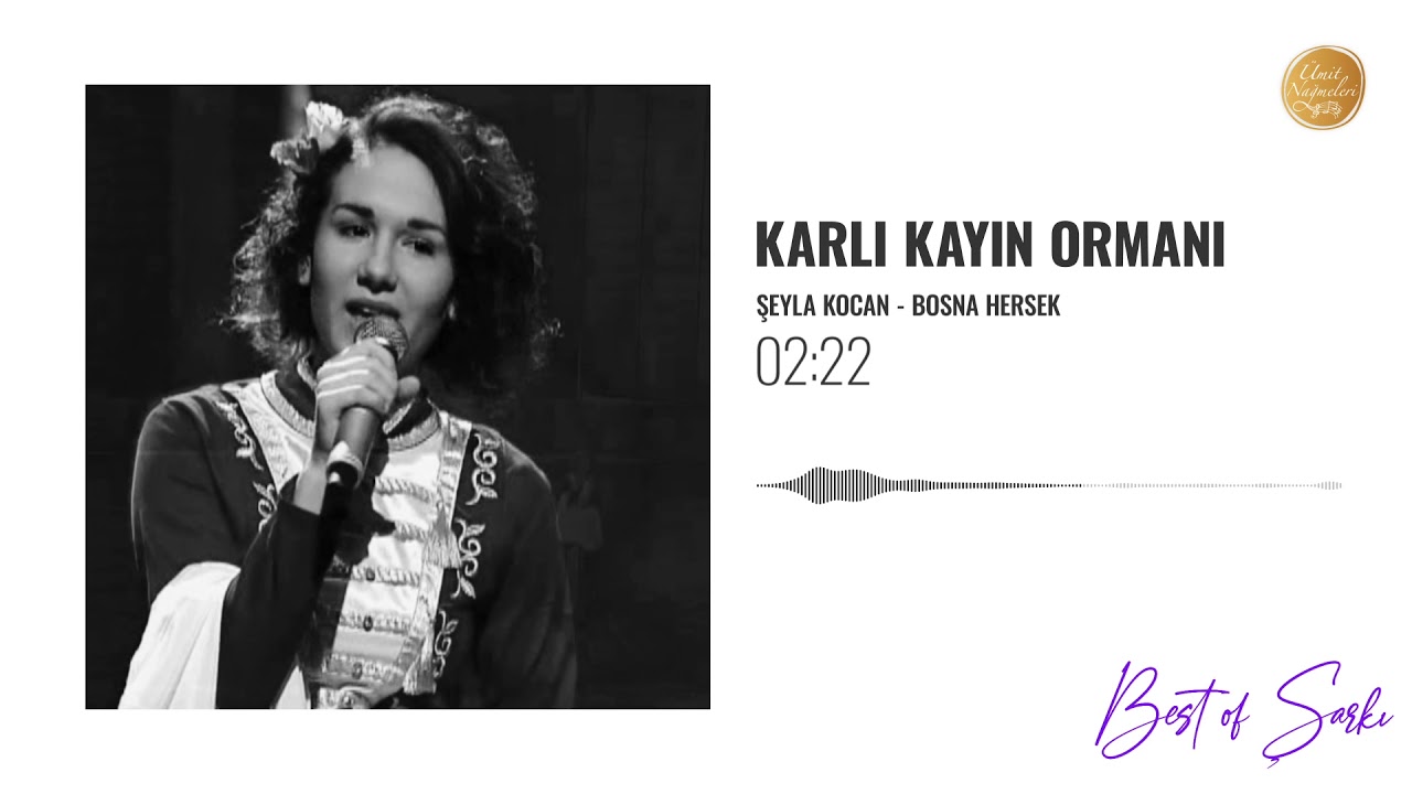 15 Karlı Kayın Ormanı