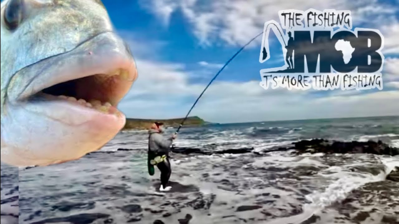 Bend It! PBs, Firsts and Strange species
