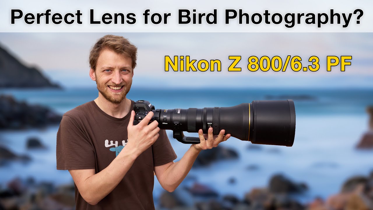 Nikon Z 800mm f/6.3 PF — обзор полевых условий для съёмки птиц