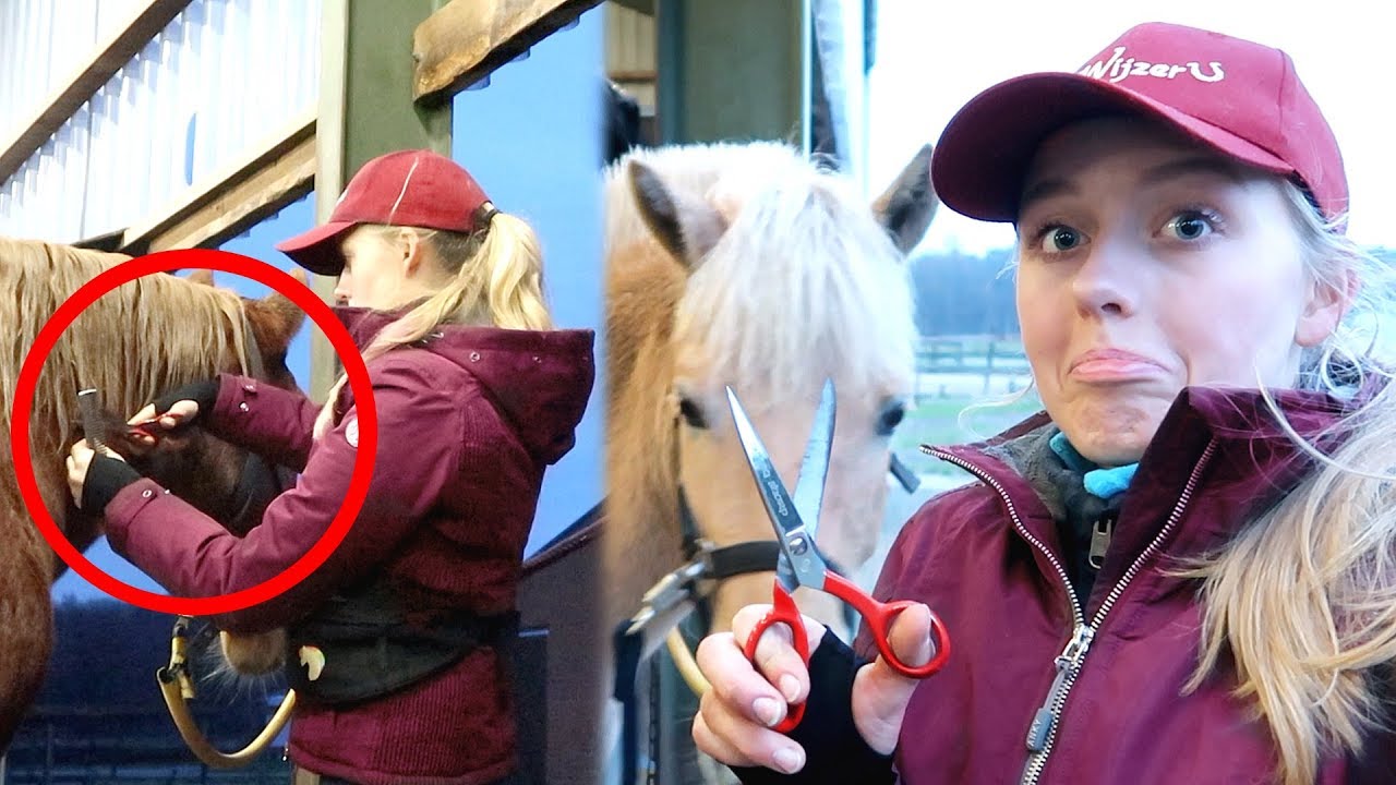 OHNEE! Ik knip een stuk haar verkeerd af! | Vlogmas 
