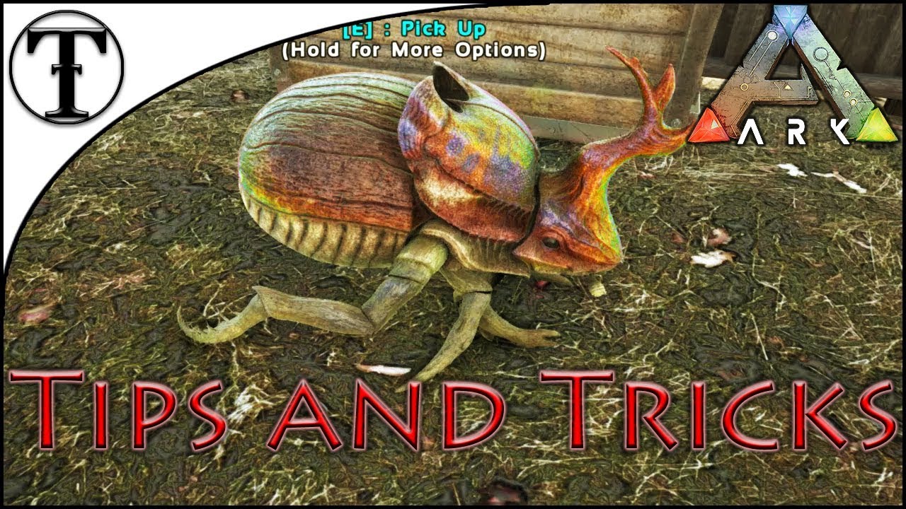 Fast Dung Beetle Taming Guide :: ARK : Survival Evolved Tips and Tricks