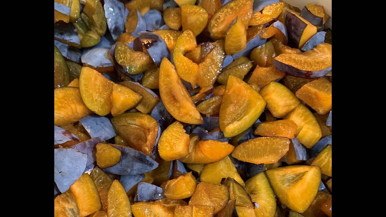 Steam juicing plums | How to utilize your harvest
