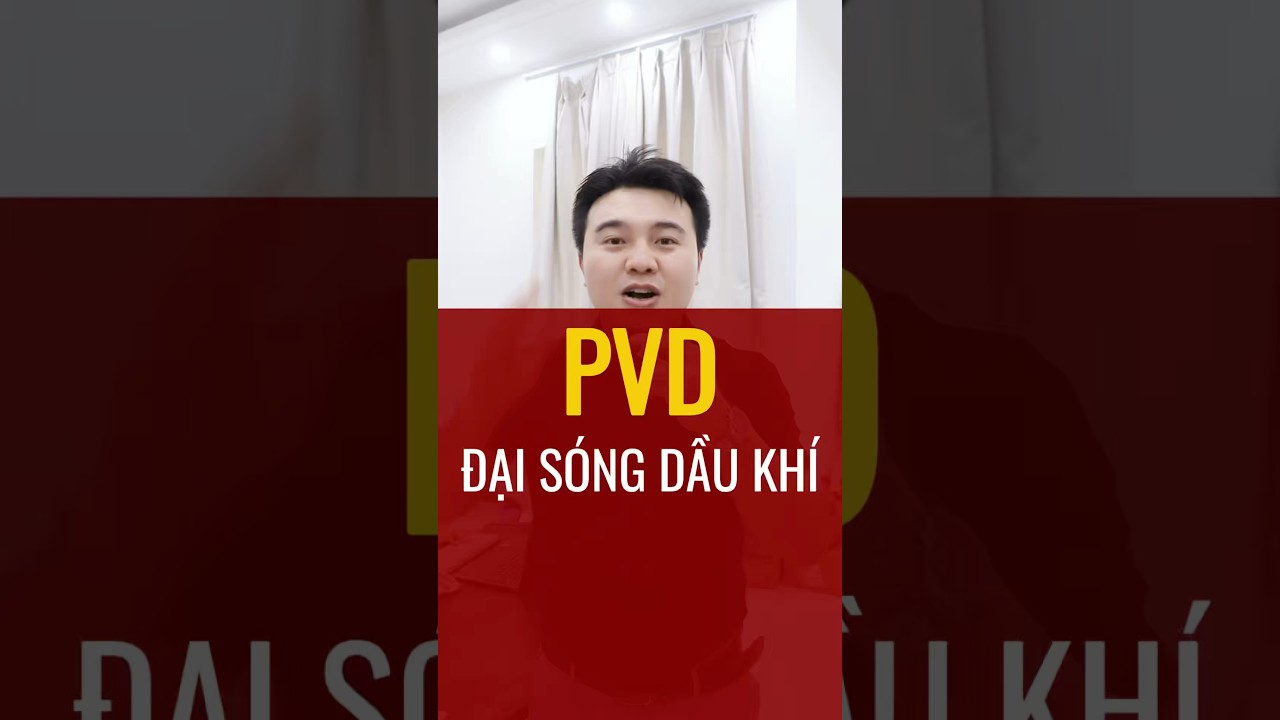 PVD TRẦN T&Iacute;M - ĐẠI S&Oacute;NG DẦU KH&Iacute; 2026