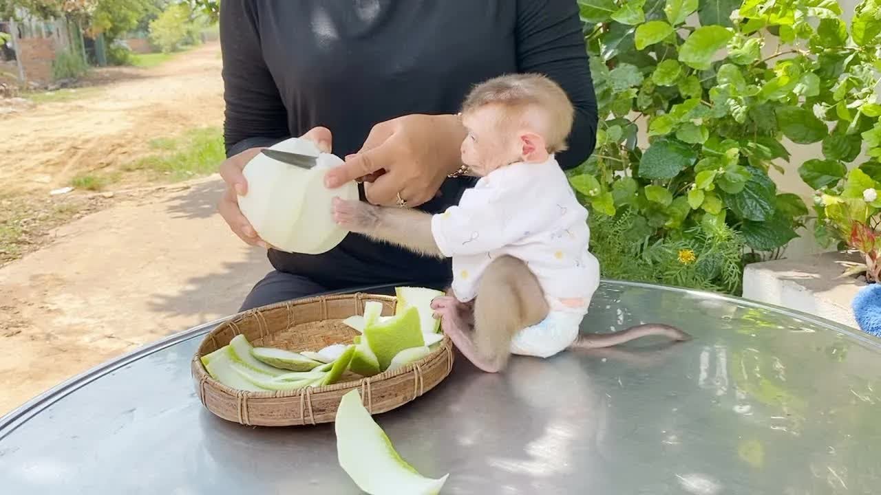 Baby DAM Very Eagerly Wanna Eat Grapefruit While Mom Peeling
