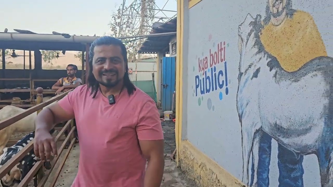Faisal Bhai(Rk) ka King 2019 me tha 171 Kg ka Kota || Al Mehtab Goat Farm