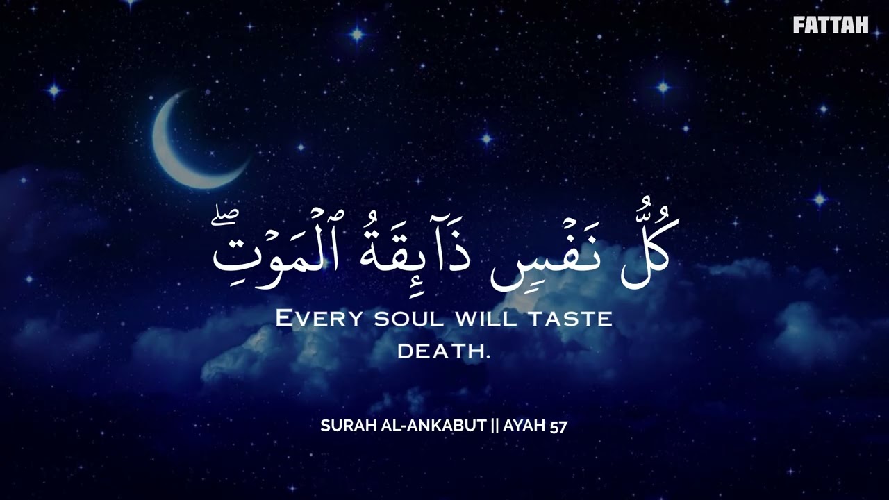 أرح سمعك.. تلاوة هادئة تريح القلب والعقل💛😴 | ساعة كاملة🕛🎧 القارئ محمد هشام | Mohamed Hesham