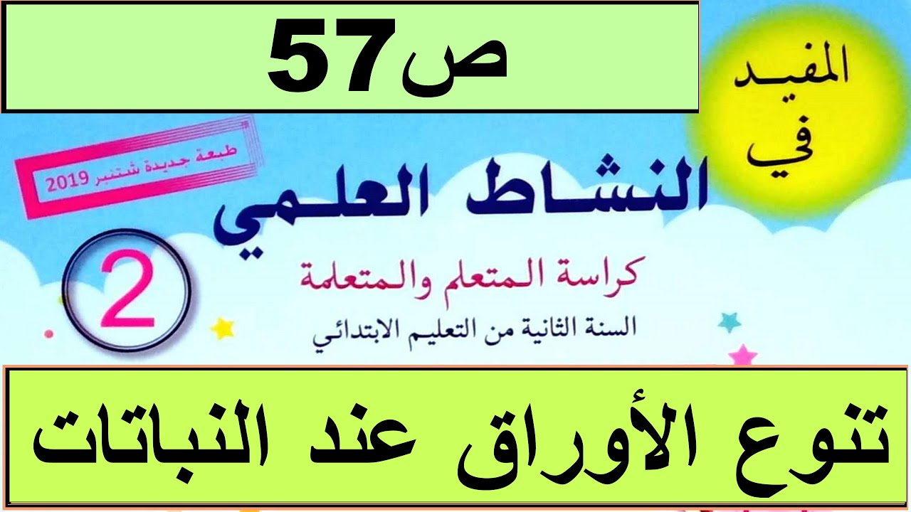 ماهي أنواع الاوراق عند للنباتات؟ ص57 المفيد في النشاط العلمي المستوى الثاني