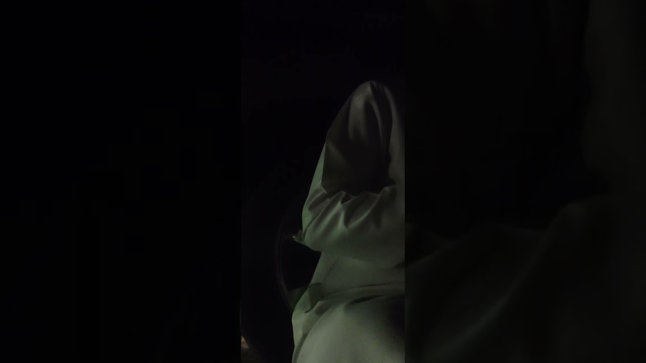 ١٢ فبراير ٢٠٢٦