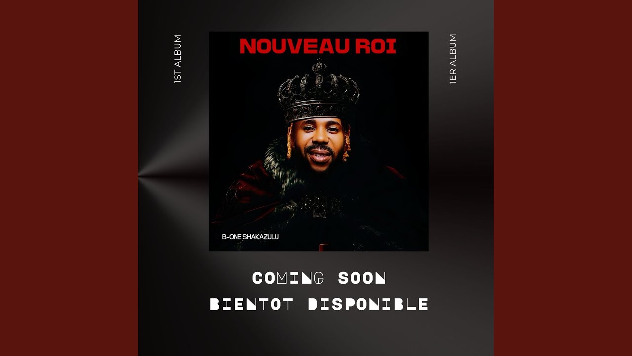 Afro Lengossi (Pr&eacute;-annonce album)