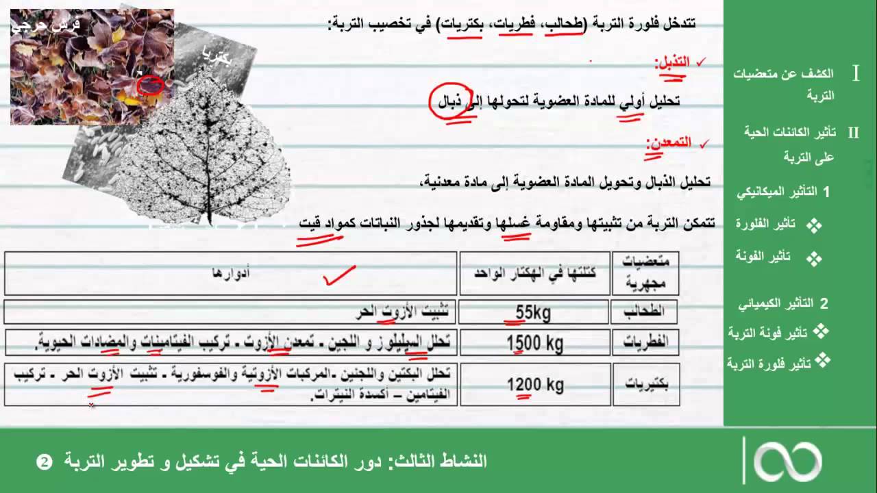 الجذع المشترك العلمي|  الحصة 13: دور المتعضيات في تشكيل وتطوير التربة جزء 2