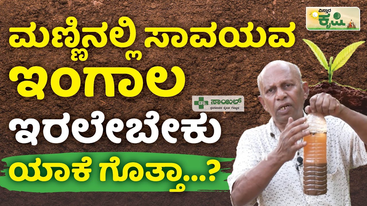 ಮಣ್ಣಿನಲ್ಲಿ ಸಾವಯವ ಇಂಗಾಲ ಇರಲೇಬೇಕು ಯಾಕೆ ಗೊತ್ತಾ… | Importance of Soil Organ | Vistara Krishi