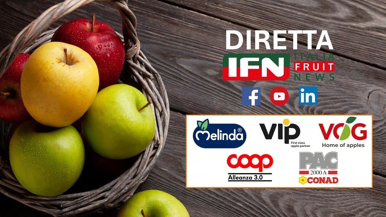 Mele sotto la lente di IFN