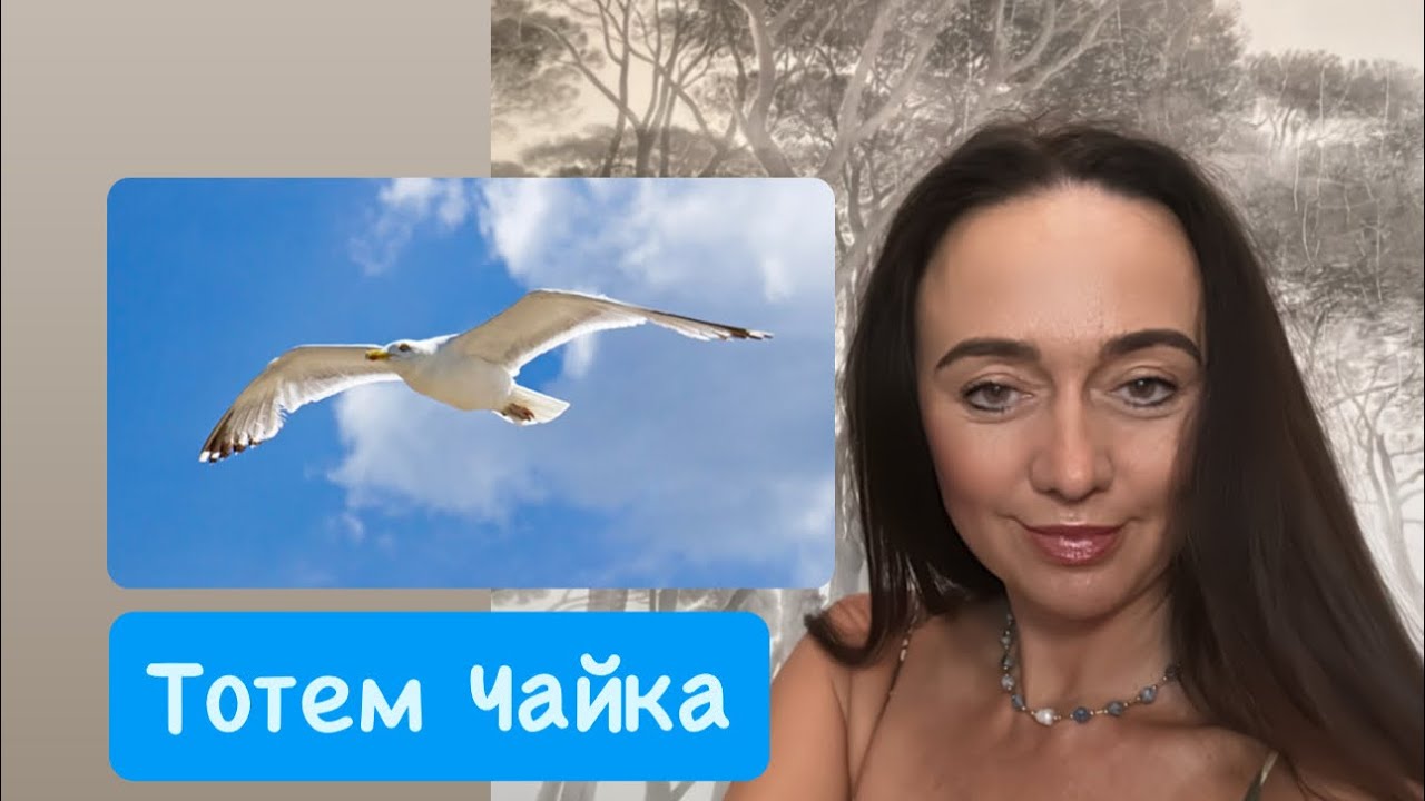 Тотем- Чайки- симврл свободы и божественного послания#