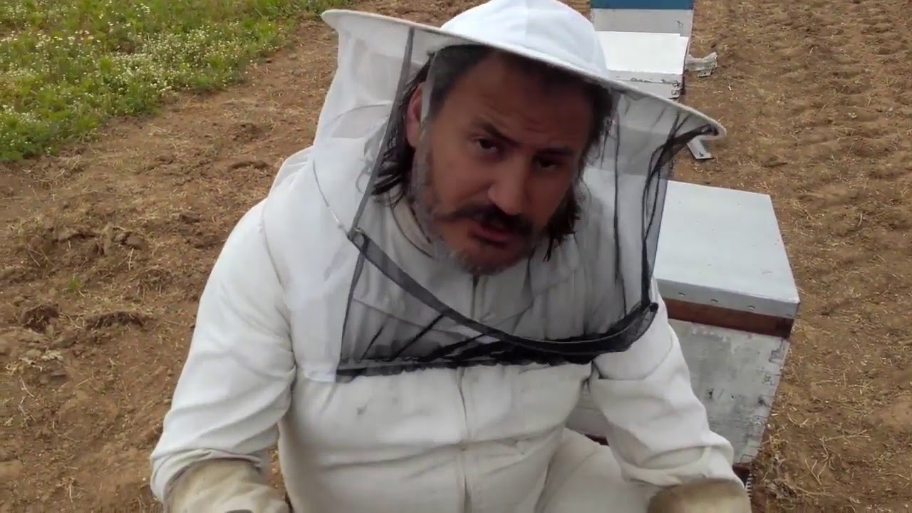 Μελισσι σκοτωσε τις βασιλισσες