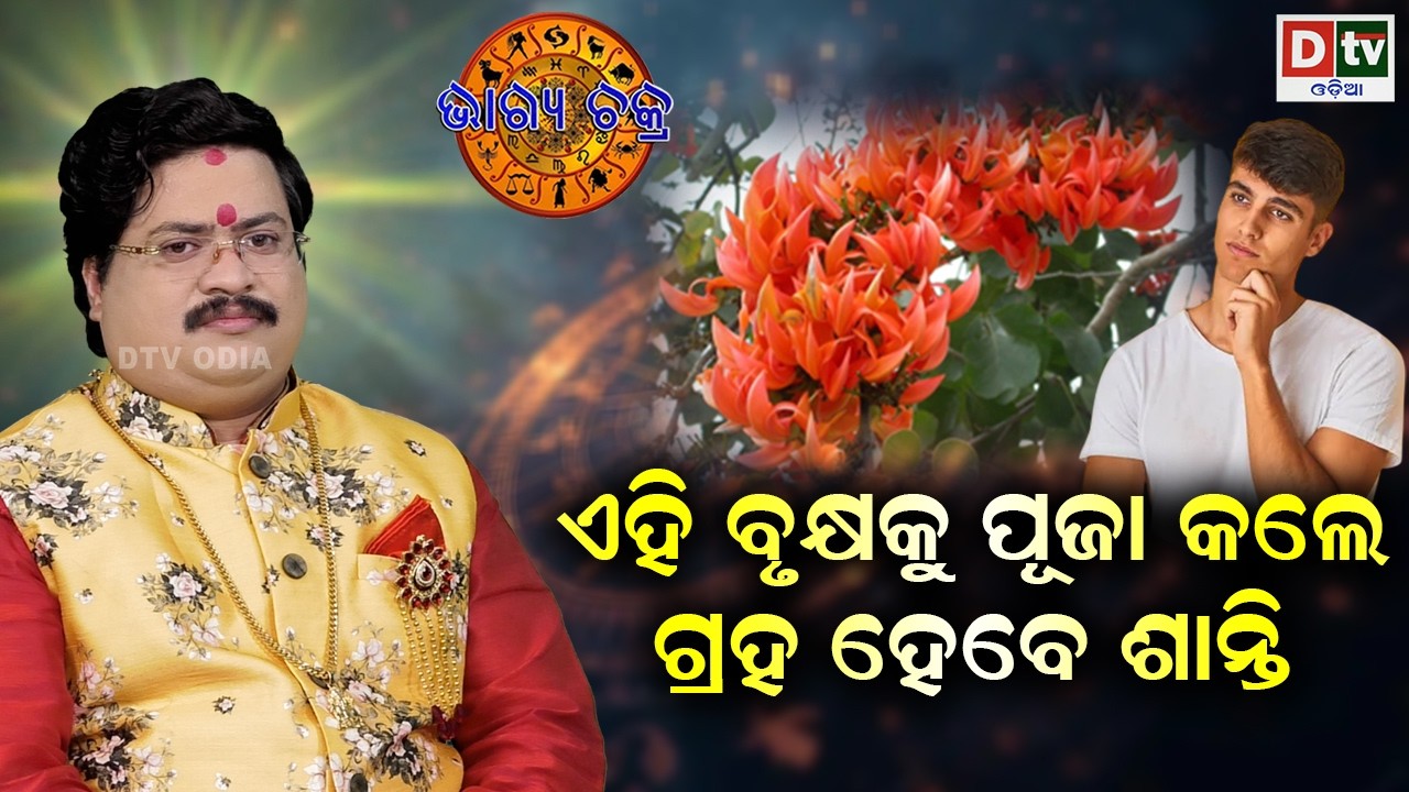ଏହି ବୃକ୍ଷକୁ ପୂଜା କଲେ ଗ୍ରାହାଗ ହେବେ ଶାନ୍ତି | #BHAGYACHAKRA | Dr Bhbani  Mohapatra |  @DTVODIA