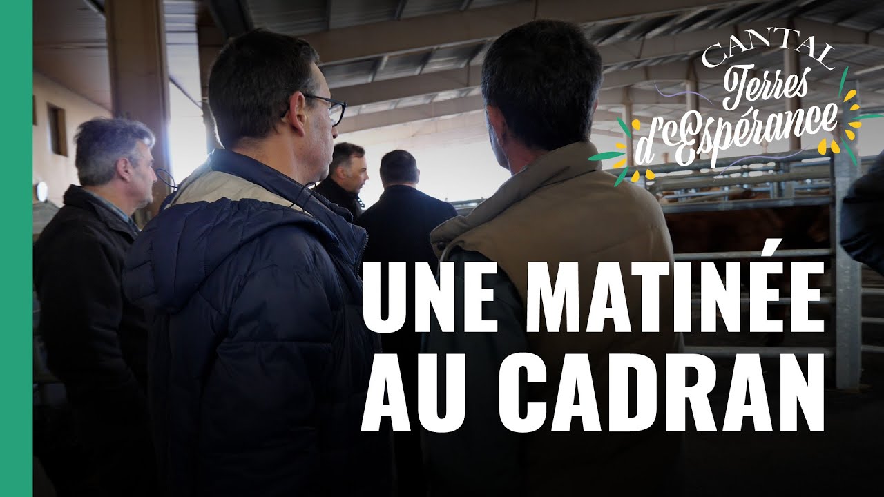 Découverte du Marché au Cadran à Mauriac - Cantal Terres d'Espérance