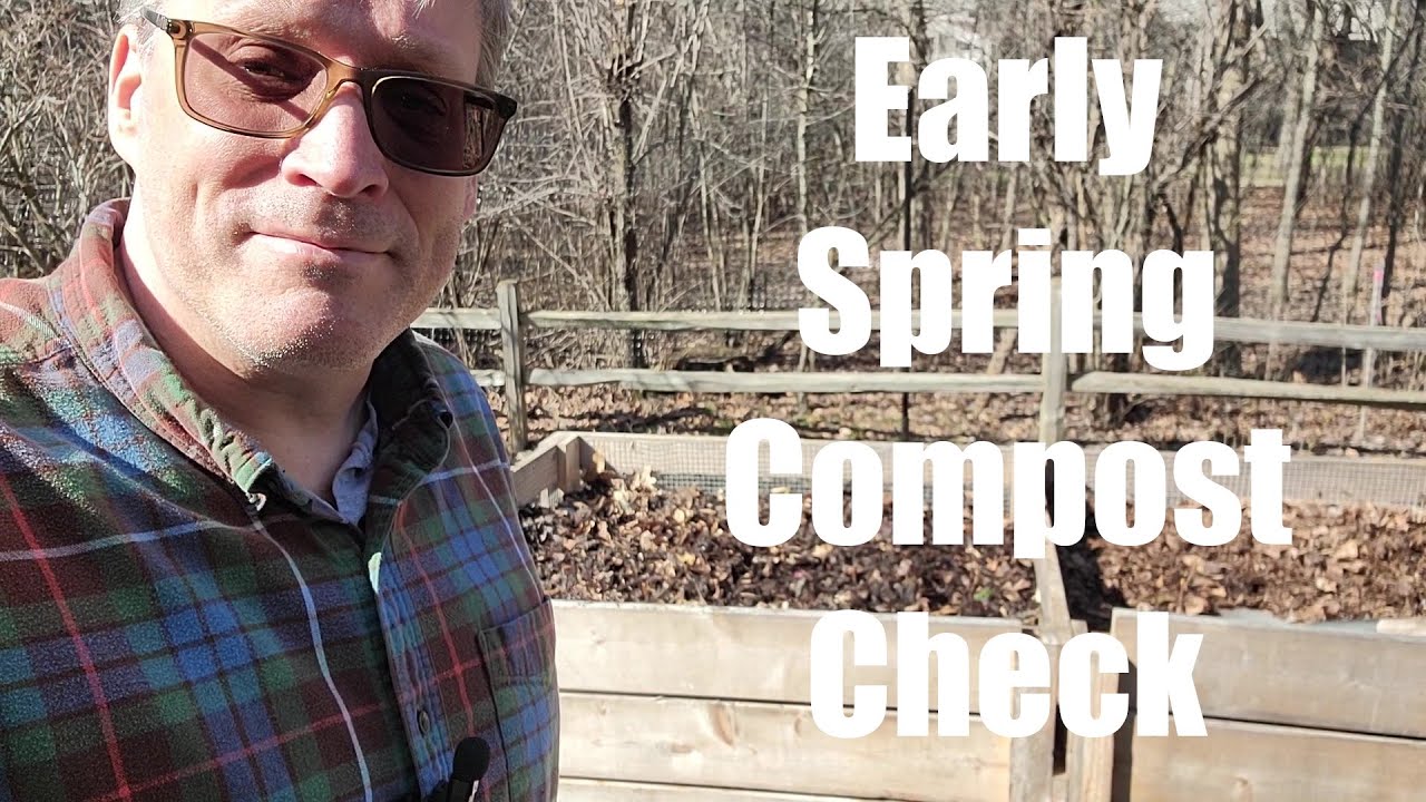 Early Spring Compost Check