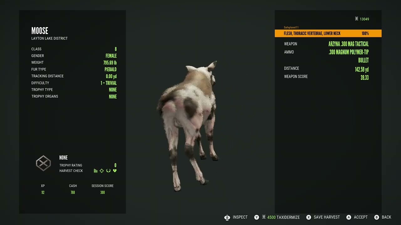 1st piebald moose on call of the wild.#cotwclips #cotwgameplay #yukon valley