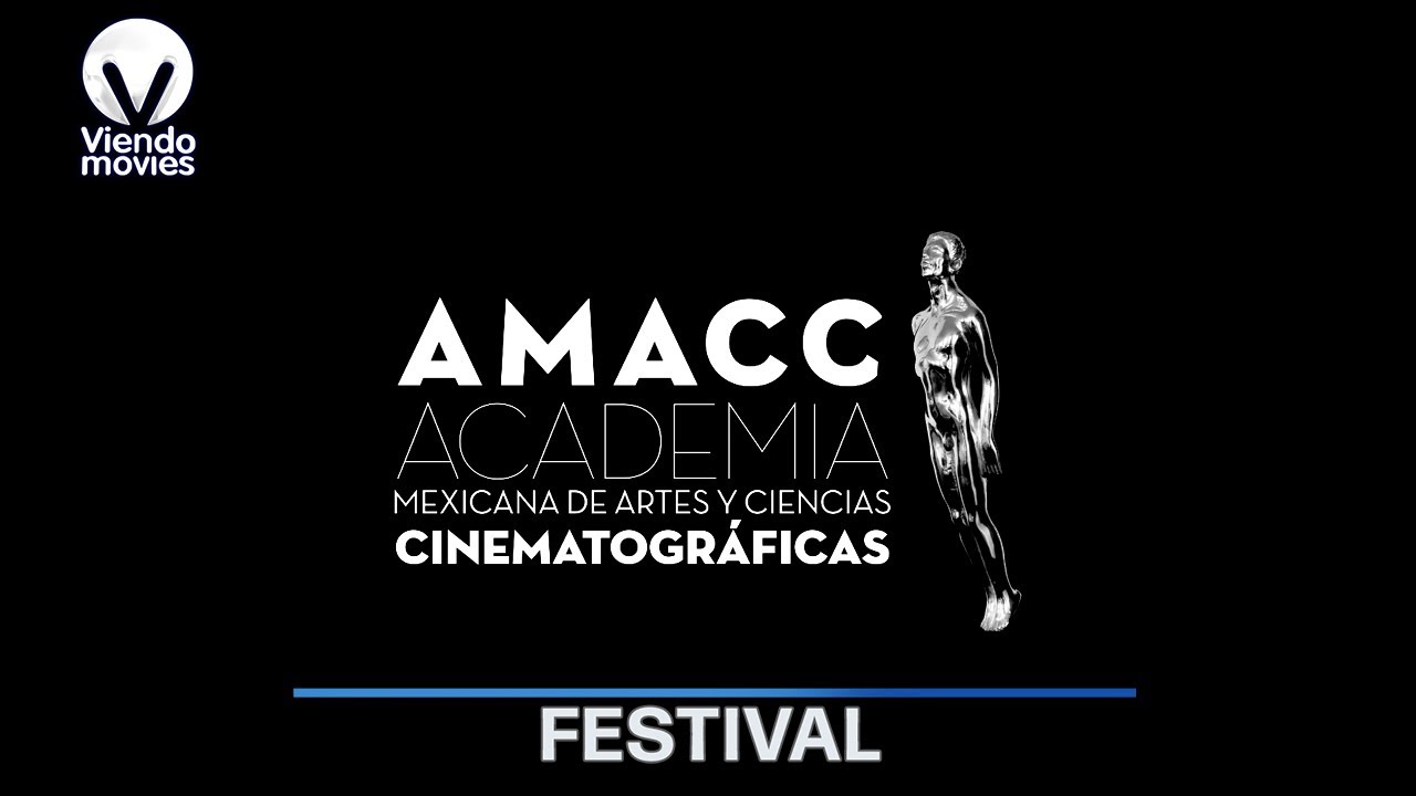 ✨ Premios Ariel 2025 | Conoce a los grandes ganadores 🥇