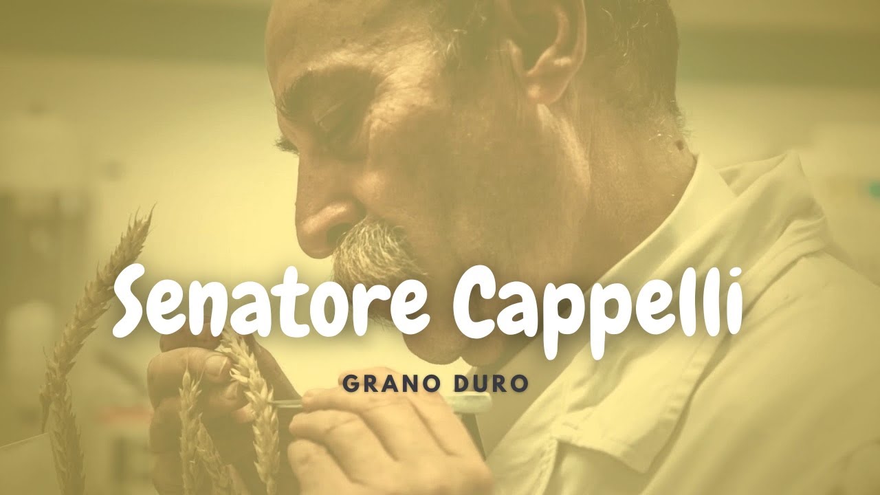 I Benefici del Grano duro Senatore Cappelli: una scelta salutare per la Tua Alimentazione.