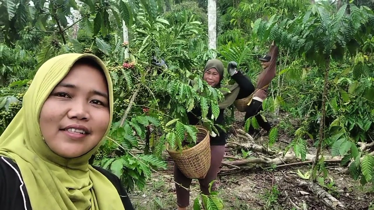Tembang daerah gitar tunggal_banyaklah tangis tingah tawe dibawakan hanis harnia