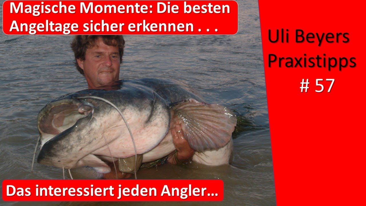 Raubfischangeln : Beste 