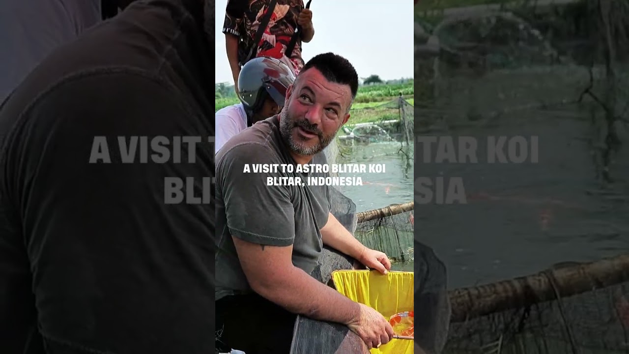 Gianluca Journey to Indonesia with Astro Koi Farm