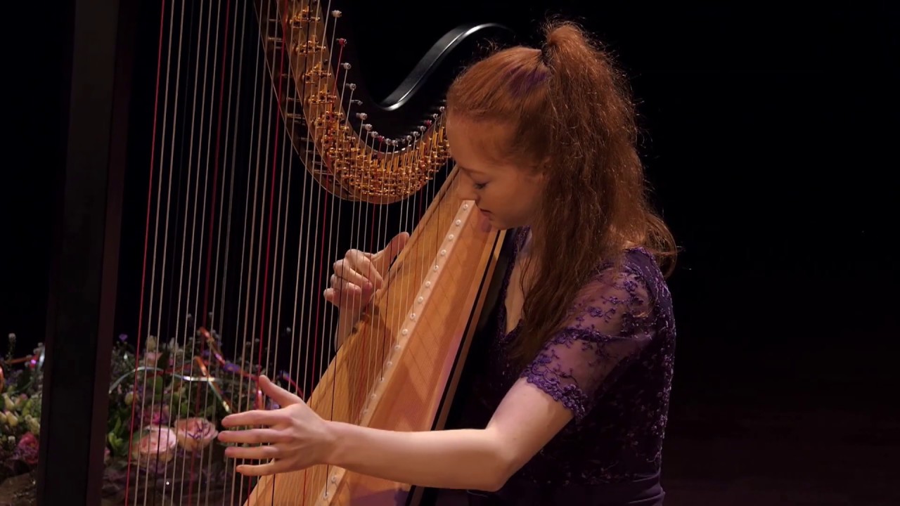 Oumuamua, Sylvia Maessen - by Inge van Grinsven on harp