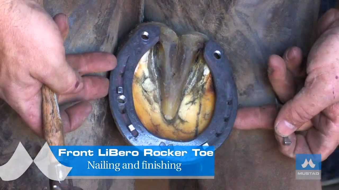 Mustad LiBero horseshoes modifications - Rocker Toe on a front toe-clipped shoe