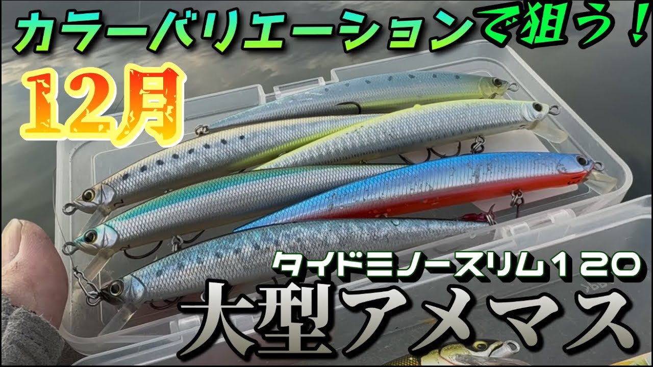 【ルアー検証】何色がいい？色んなカラーで初冬の大型アメマスを探せ！今年ラストフィッシュなるか･･･