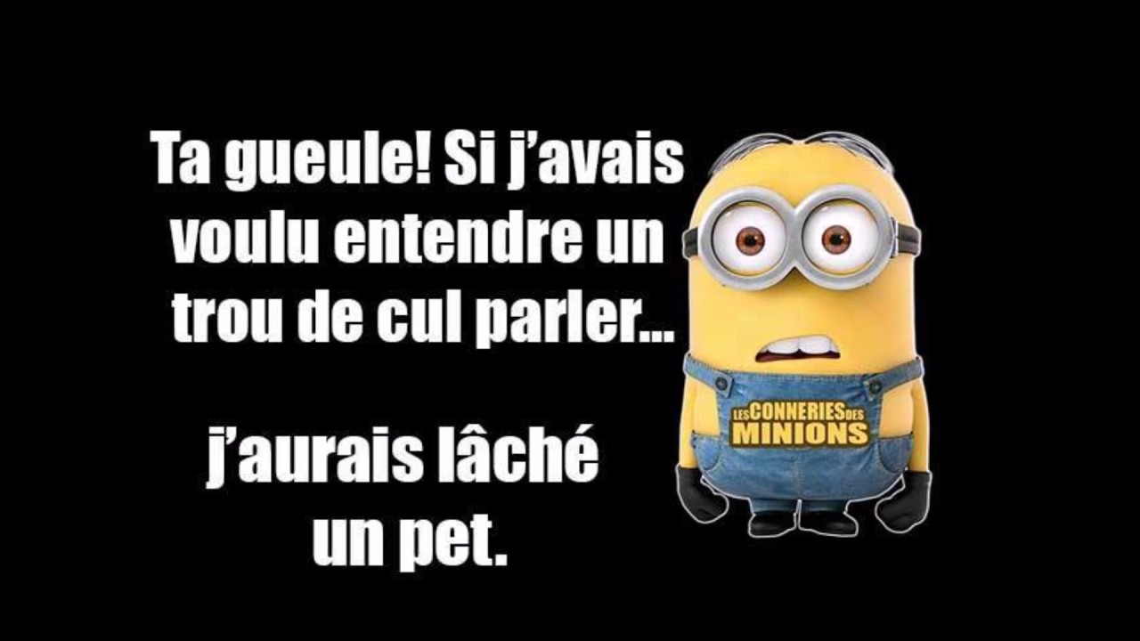 Images drôles compilation N°1