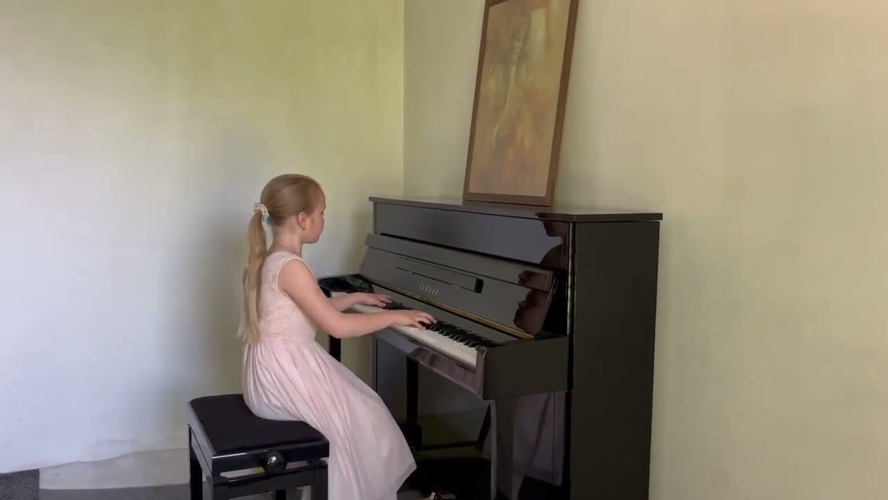 Chopin Valse N 11