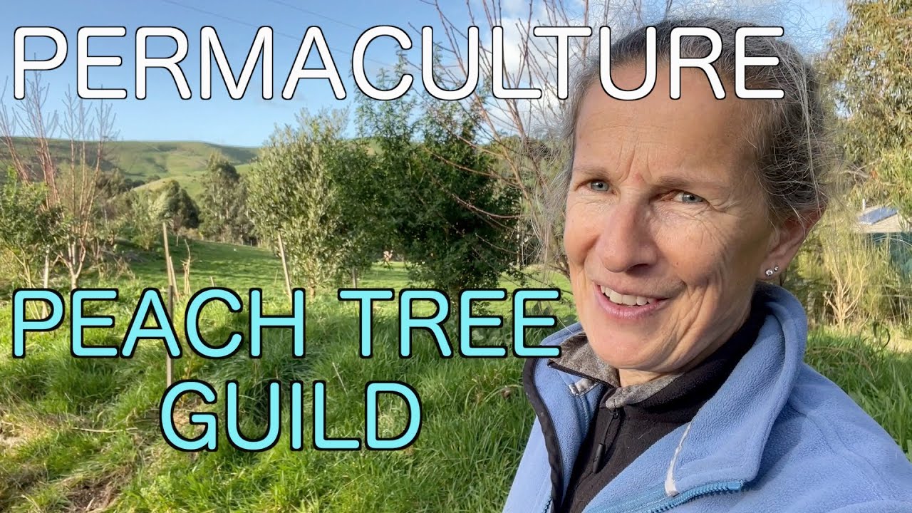 Planting in the Peach Tree Guild