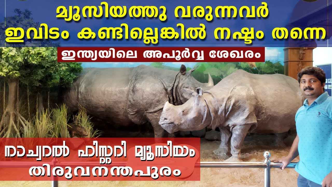 മൃഗശാലയിലെ നാച്വറൽ ഹിസ്റ്ററി മ്യൂസിയം-natural history museum trivandrum zoo