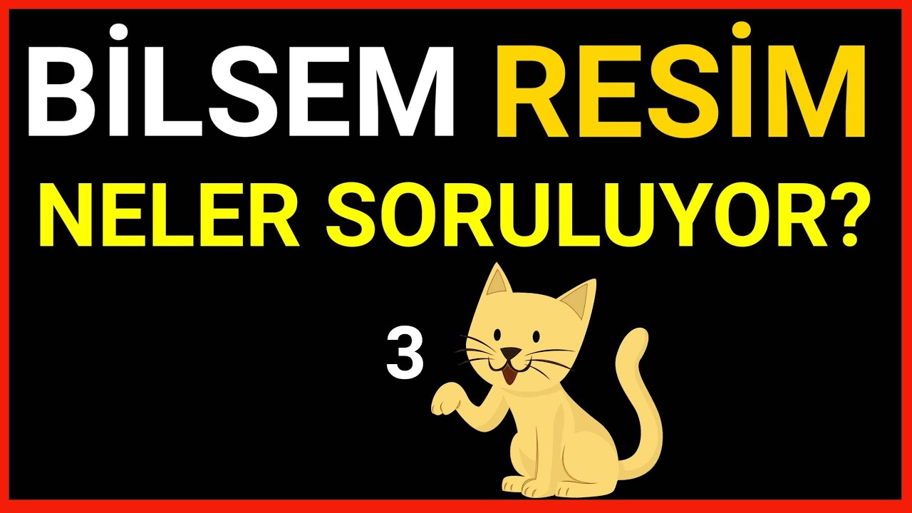 Bilsem Resimde Ne Soruluyor? | Örnek Sorular #3