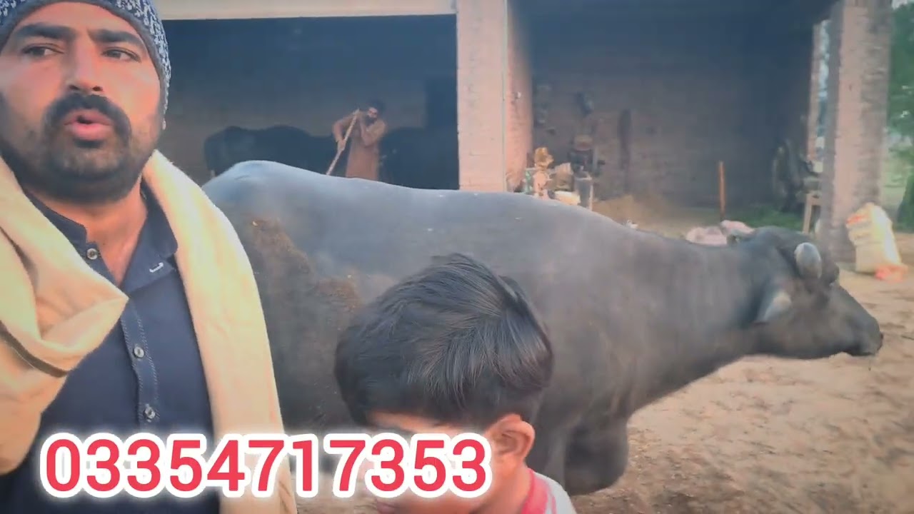25 لاکھ والی جھوٹی کا شوق چیک کریں
