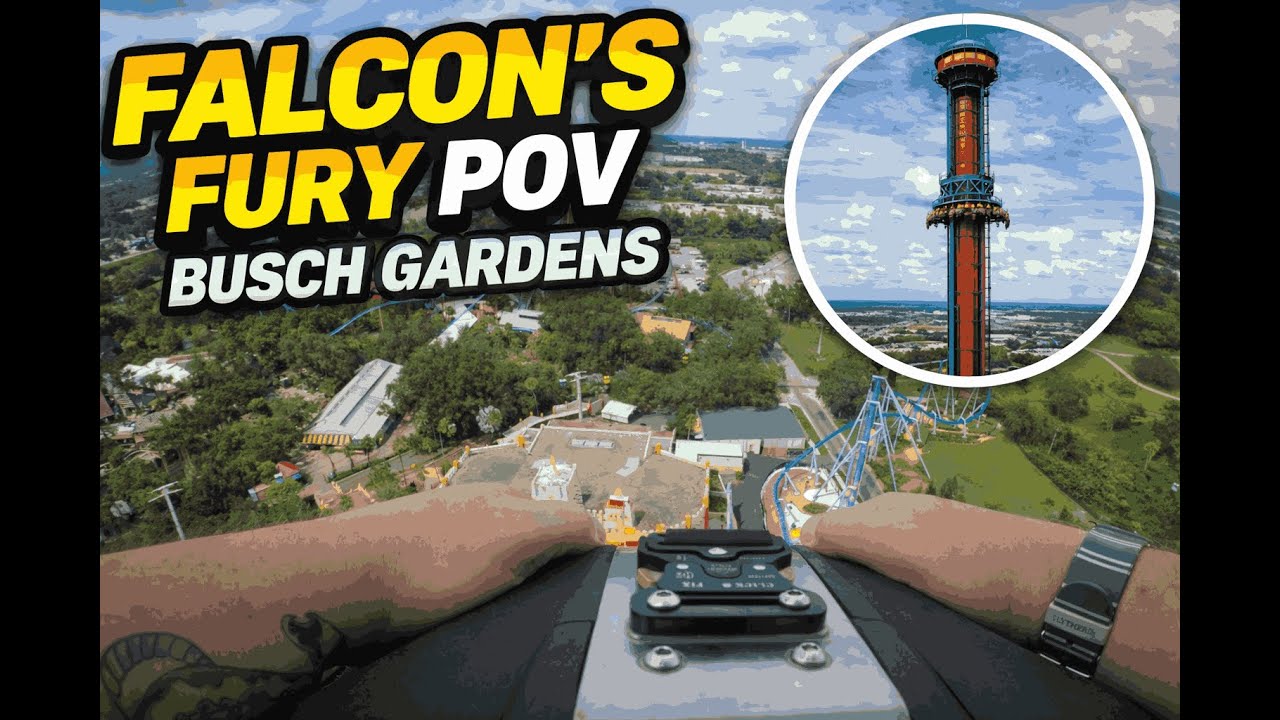 falcon's fury 🦅  pov busch gardens 2025 