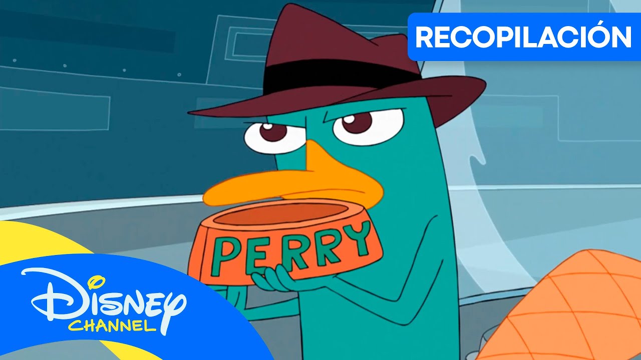 PHINEAS Y FERB: Perry el ornitorrinco y sus MEJORES misiones 🕵️ | RECOPILACIÓN | @disneychannelES