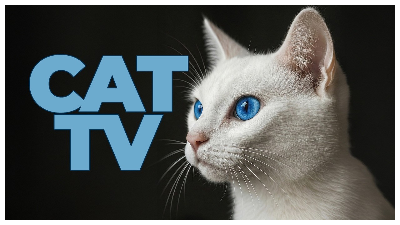 Underwater Cat TV 🐠 Relaxing Fish Video Cats Love (6 Hours)